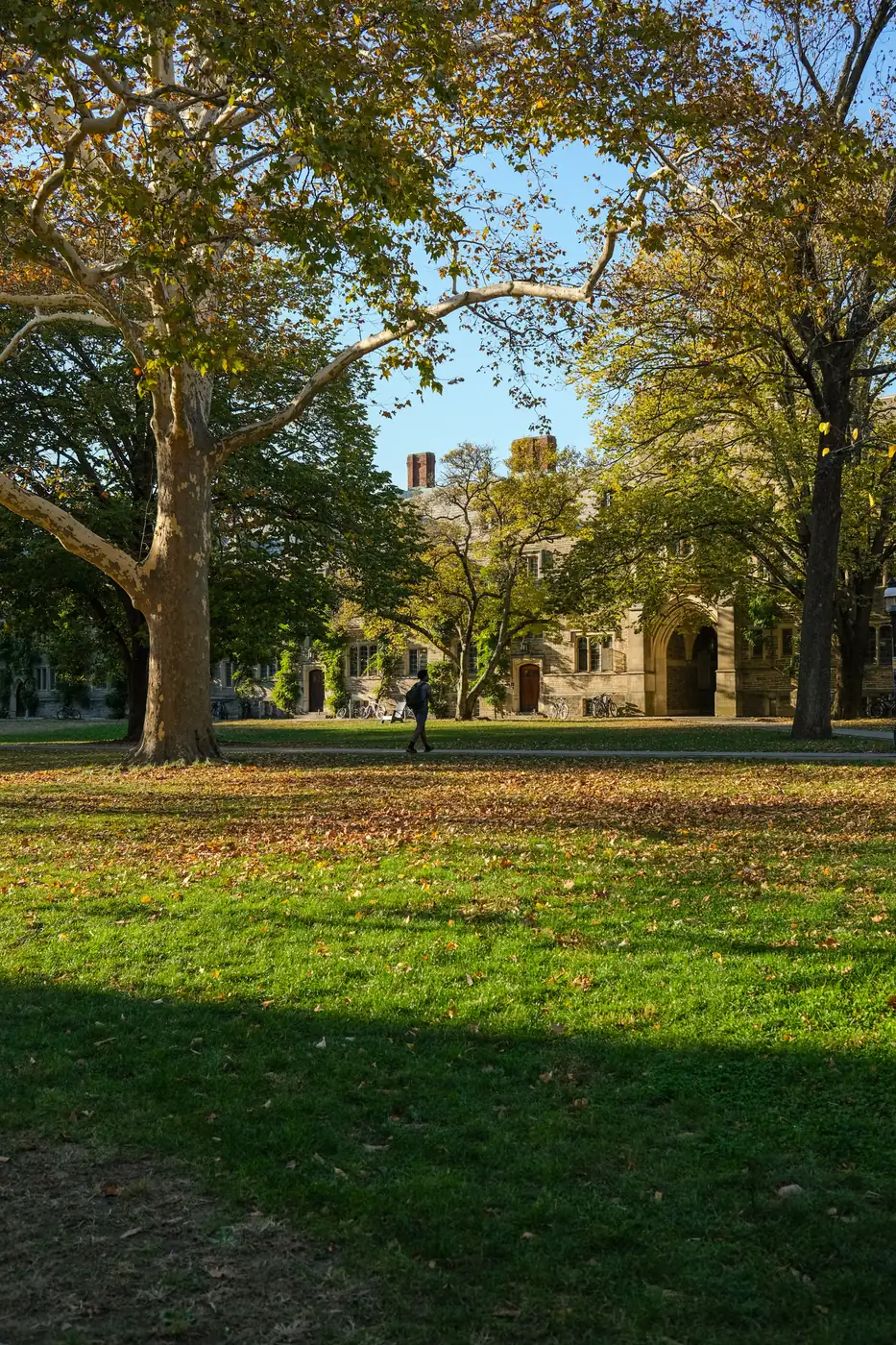 Gothic-style campus architecture surrounded by autumn trees